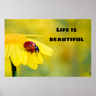 Life is beautiful - Ladybug Poster