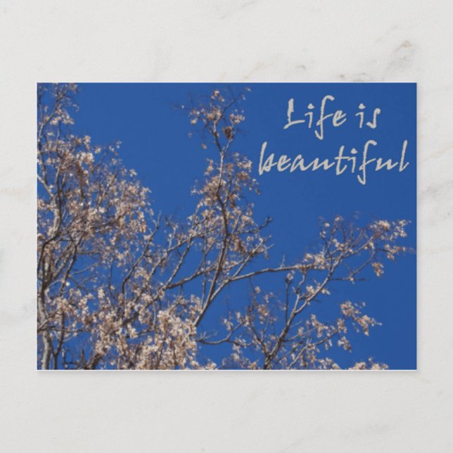 Life is beautiful postcard (Front)