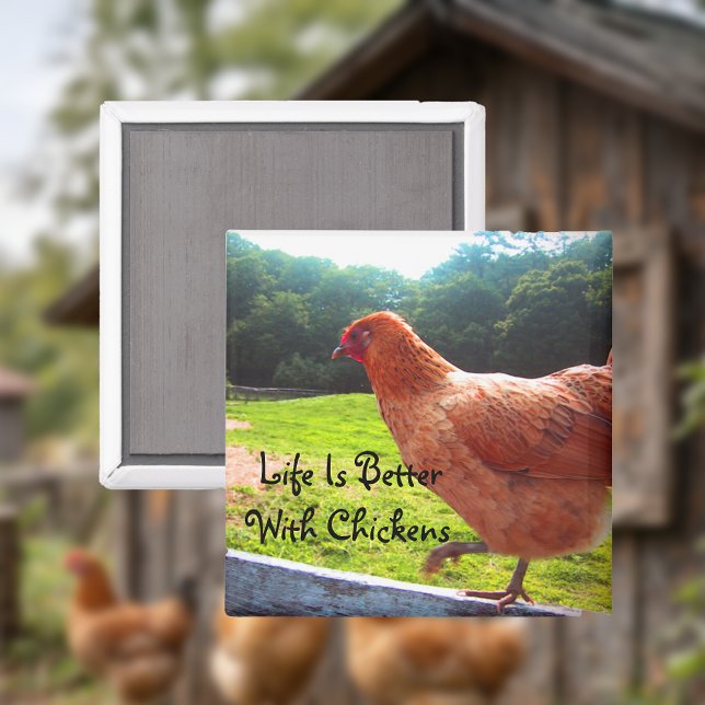 Life Is Better With Chickens Magnet (Creator Uploaded)