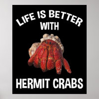 Life Is Better With Hermit Crabs