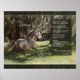 Life is but a Dream Poster