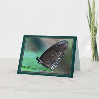 *Life is Eternal: Lovely metaphor for death inside Card