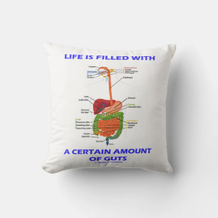Life Is Filled With A Certain Amount Of Guts Cushion
