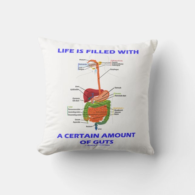 Life Is Filled With A Certain Amount Of Guts Cushion (Front)