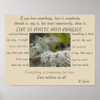 Life is Finite and Fragile poster