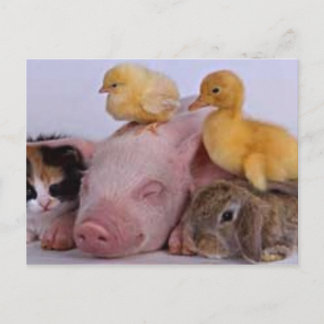 LIFE IS GOOD POSTCARD