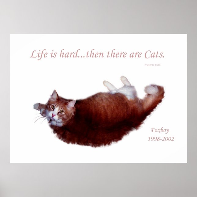 Life is hard...then there are Cats. Poster (Front)