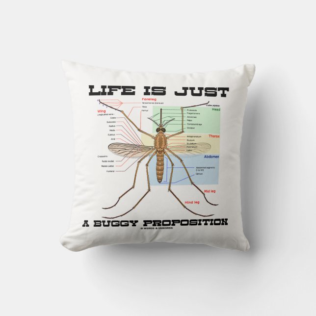 Life Is Just A Buggy Proposition (Mosquito Humour) Cushion (Front)
