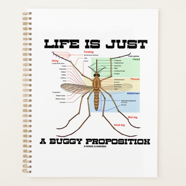 Life Is Just A Buggy Proposition Mosquito Humour Planner (Front)
