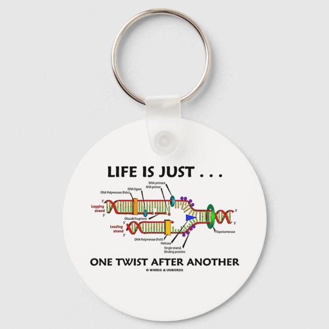 Life Is Just ... One Twist After Another (DNA) Key Ring (Front)