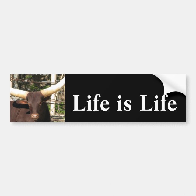 Life is Life     Bumper Sticker (Front)