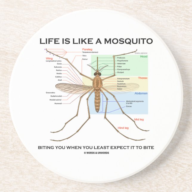 Life Is Like A Mosquito Biting You When You Least Coaster (Front)