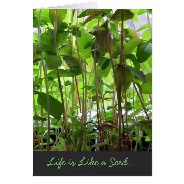 Life is Like a Seed adjustable Text (Front)