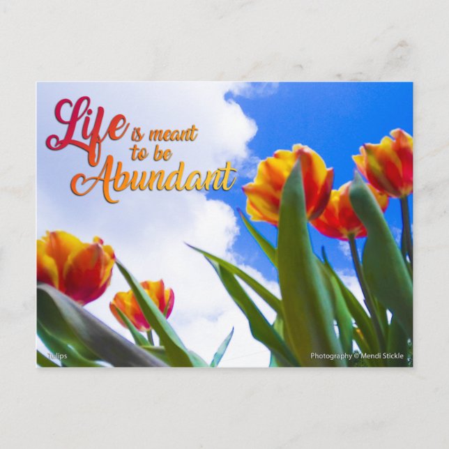 Life is meant to be Abundant Postcard (Front)