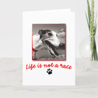 Life is NOT a Race Card