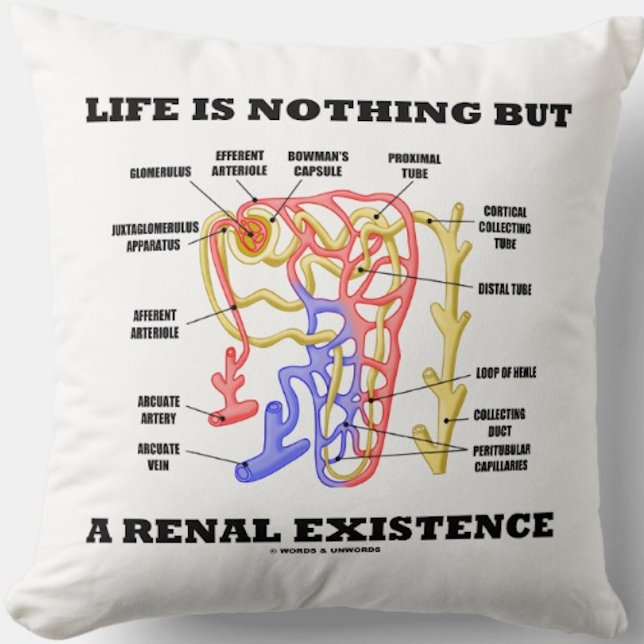 Life Is Nothing But A Renal Existence (Nephron) Cushion (Kidney's nephron throw pillow with the nephrology sentiment "Life Is Nothing But A Renal Existence")