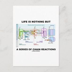 Life Is Nothing But A Series Of Chain Reactions Postcard