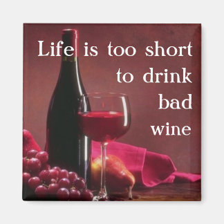 Life is too short Magnet