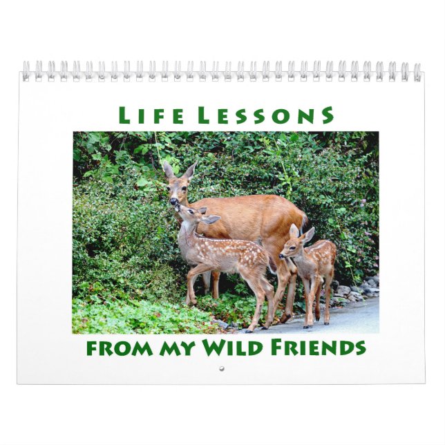Life Lessons Animal Calendar (Cover)
