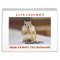Life Lessons from Chipper the Chipmunk Calendar