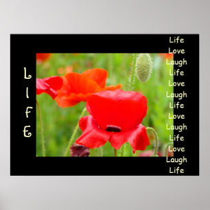 LIFE Love Laugh art prints Red Poppy Flowers