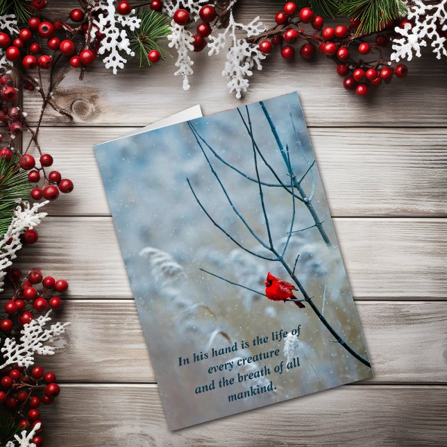 Life of Every Creature Christian Christmas Card (Creator Uploaded)