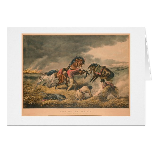 Life on Prairie: Trapper's Defence (0879A) (Front Horizontal)