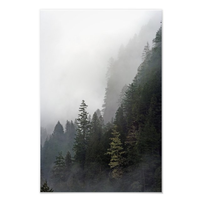 Life On The Edge. Photo Print (Front)