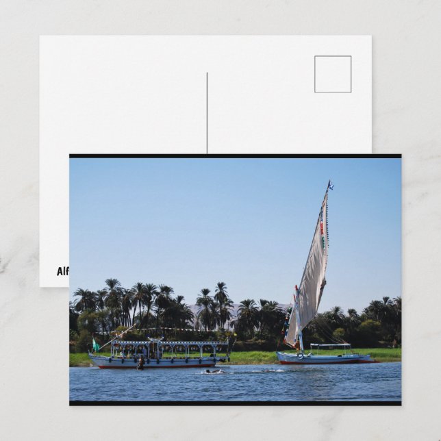 Life on the Nile Postcard (Front/Back)