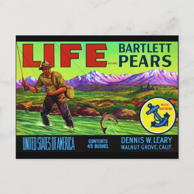 Life Pears Postcard (Front)