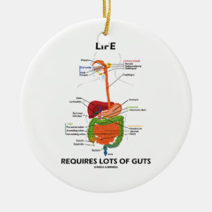 Life Requires Lots Of Guts (Digestive System) Ceramic Tree Decoration