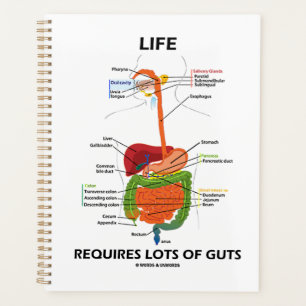 Life Requires Lots Of Guts Gastroenterology Humour Planner