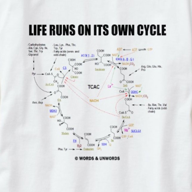 Life Runs On Its Own Cycle (Krebs Cycle - TCAC) T-Shirt (Krebs cycle (citric acid cycle) humor tee with the scientific saying "Life Runs On Its Own Cycle")
