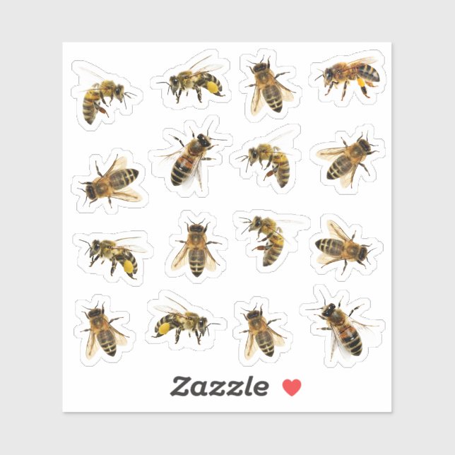 Life size Realistic Honeybees Transparent or White (Sheet)