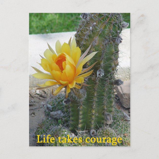 Life Takes Courage Postcard (Front)