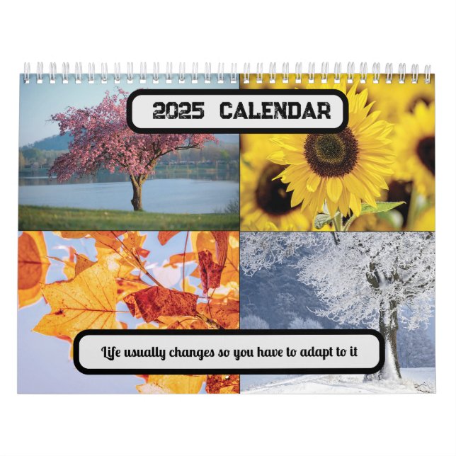 Life usually changes so you have to adapt 2025  calendar (Cover)