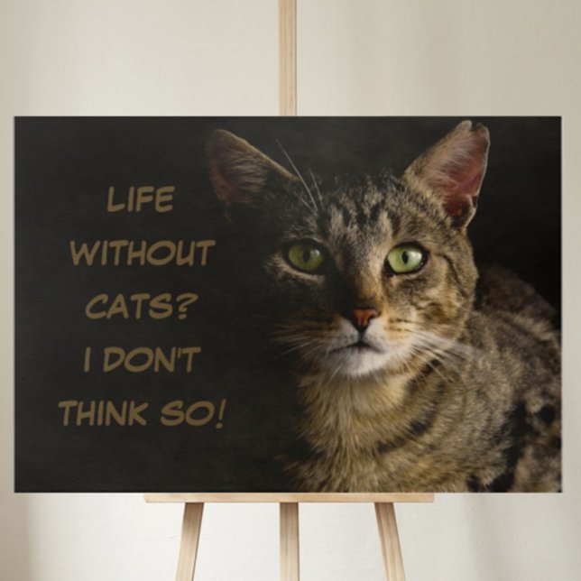 Life without cats? I don’t think so! custom funny Canvas Print (Creator Uploaded)