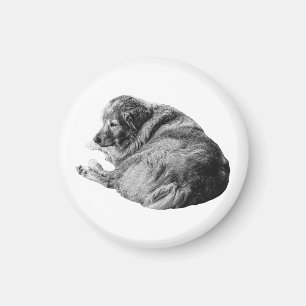 Lifelike details and a peaceful pose fill every sp magnet