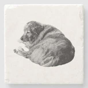 Lifelike Dog Fur Softens Festive Table Gatherings Stone Coaster