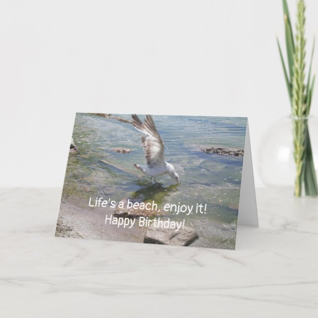 Life's a beach seagull birthday card (Front)
