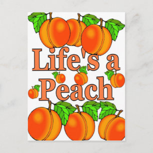 Life's a Peach Postcard