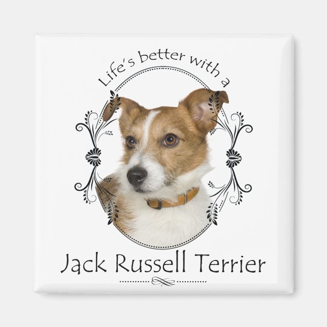 Life's Better Jack Russell Magnet (Front)