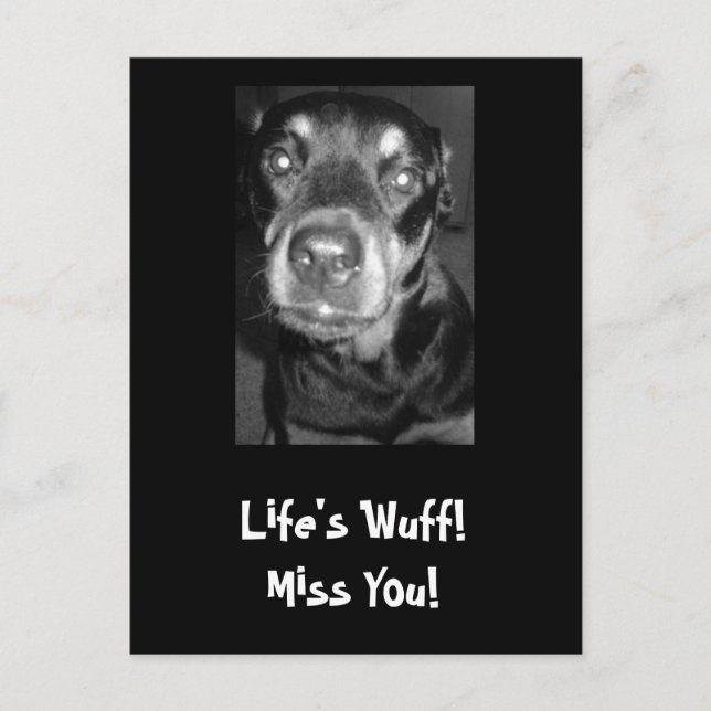 Life's Wuff! Miss You! Postcard (Front)