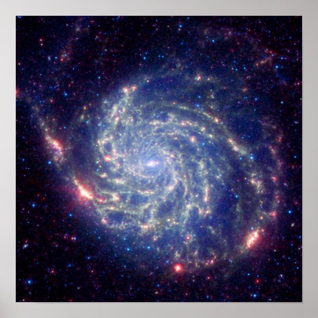 lift1 poster (Front)