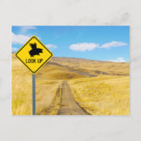 Lift Up Your Eyes For Pigs May Fly