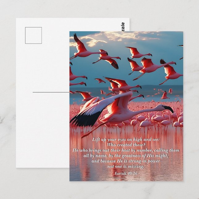 Lift Up Your Eyes on High, God & Creation Verse Postcard (Front/Back)