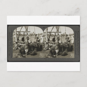 Lifting Water out of the Nile in Egypt circa 1928 Postcard