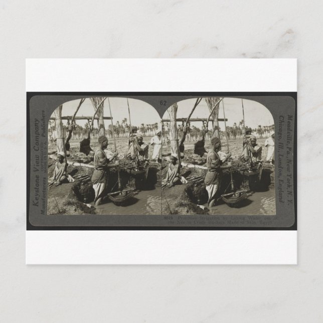 Lifting Water out of the Nile in Egypt circa 1928 Postcard (Front)