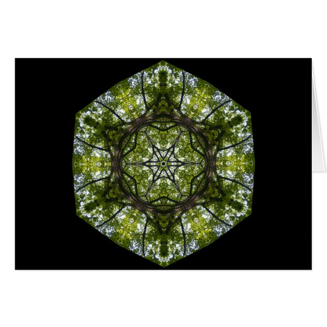 Light  And Pattern In The Leaves (Front Horizontal)