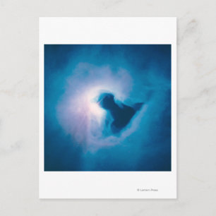 Light and Shadow in the Carina Nebula Postcard